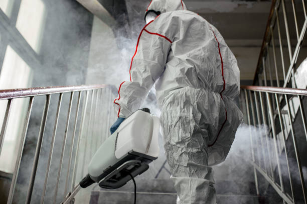  Fairless Hills, PA Mold Removal Pros